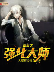 木葉之強(qiáng)化大師