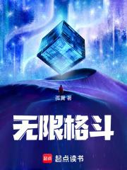 无限格斗封面