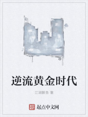 逆流黄金时代封面