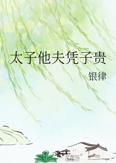 太子他夫凭子贵封面