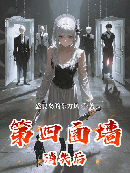 第四面墙消失后封面