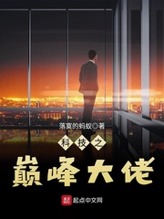 科技之巅峰大佬封面