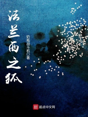 法兰西之狐封面