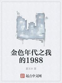 金色年代之我的1988封面