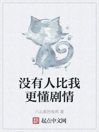 没有人比我更懂剧情封面