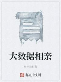 大数据相亲封面