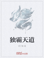独霸天道封面