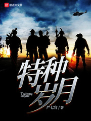 特种岁月封面