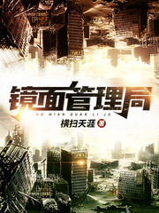 镜面管理局封面