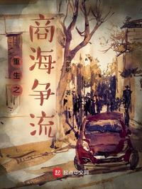 重生之商海争流封面