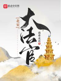 北宋大法官封面