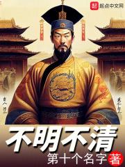 不明不清封面