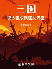 三国：汉太祖求我匡扶汉室封面