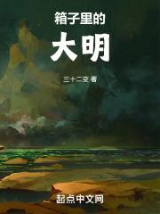 箱子里的大明封面