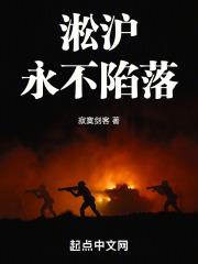 淞沪：永不陷落封面