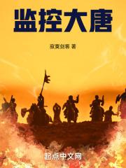 监控大唐封面