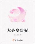 大齐皇贵妃封面